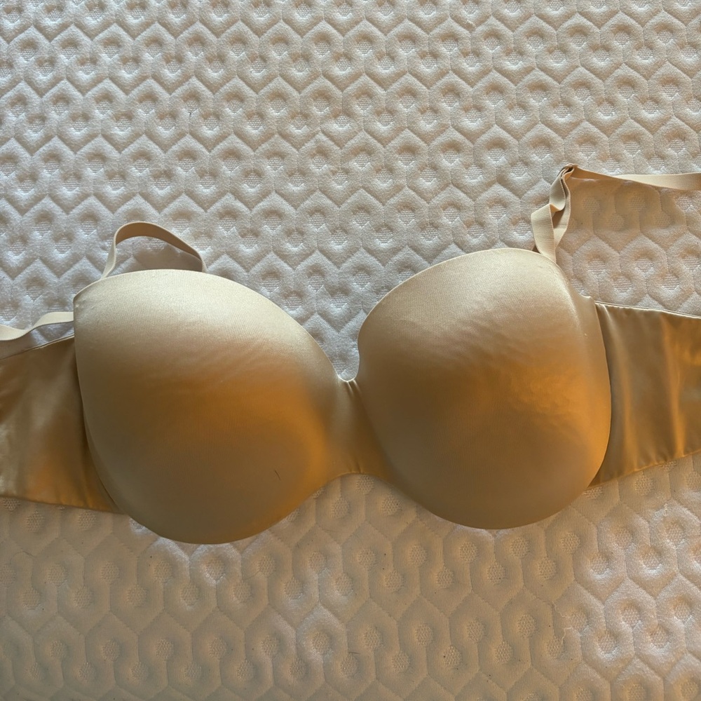 Strapless Bra 40D